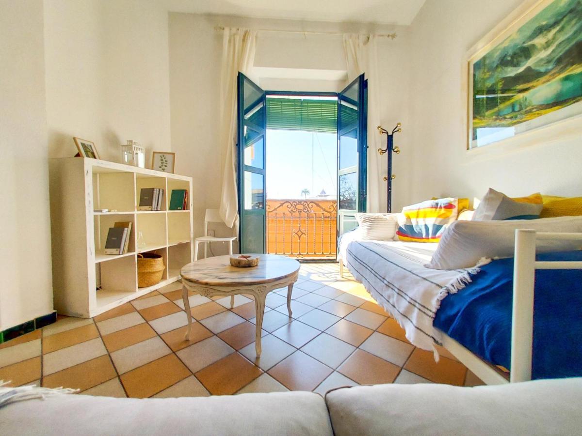Apartamento Alameda Calatrava 塞维利亚 外观 照片